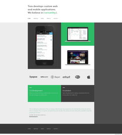 Tivix 專注定制化Web與移動應用開發(fā)，打造易用、靈活、通用與可擴展的卓越產(chǎn)品